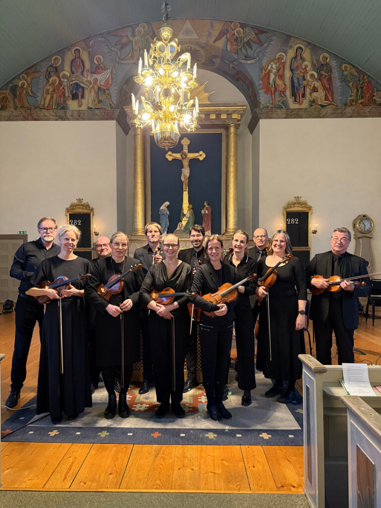 Apelvikshöjds stråkensemble